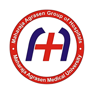 Maharaja Agarsain Hospitals Logo